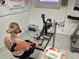 whatsapp image 2025-11-15 at 14.36.33